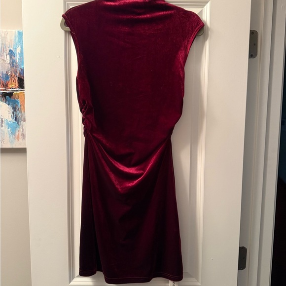 Commense Dresses & Skirts - Commense Rich Burgundy Velvet Mini Dress